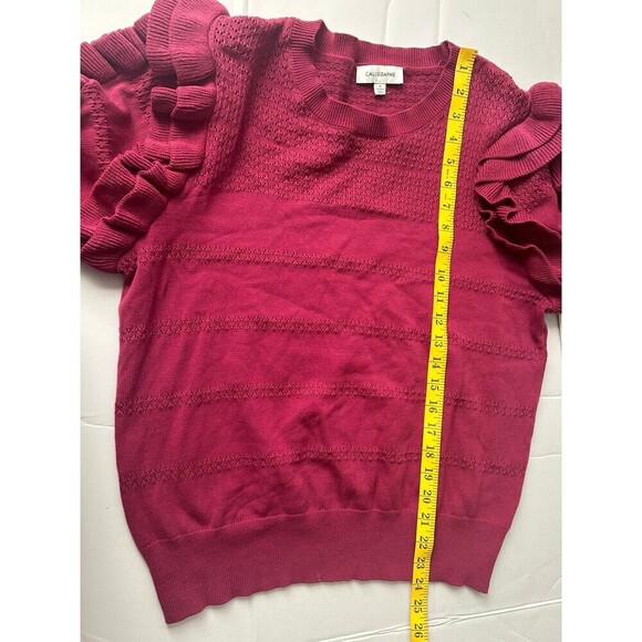 Calligraphie Women’s Pullover Knit Sweater size XL ruffle short sleeve top - Picture 6 of 6